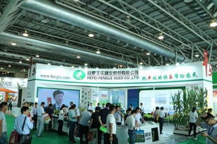 千商匯智 贏領未來 2018中國種業千商大會15日在合肥盛大召開