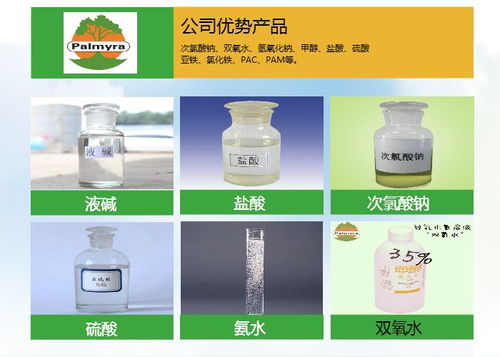 次氯酸鈉生產商南京棕糖樹化工 深耕安徽光伏產業，服務合肥能源轉型